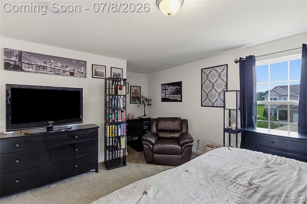 41328 Rugosa Drive, Clinton Twp, MI 48038 — Photo 26