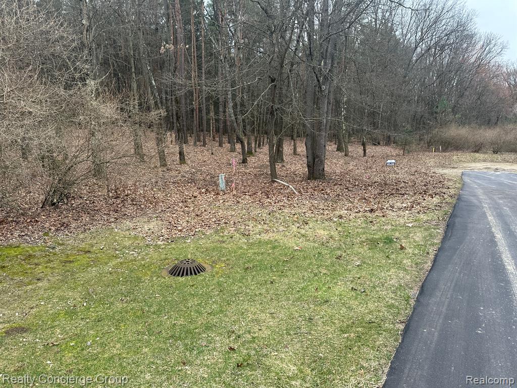 7165 SANCTUARY Drive, Jackson, MI 49201 — Photo 11