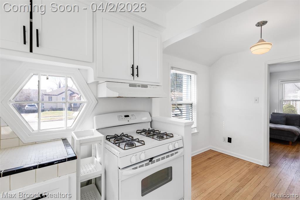 774 Gardendale Street, Ferndale, MI 48220 — Photo 10