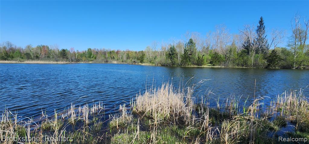 3338 FIELD Road, Clio, MI 48420 — Photo 7