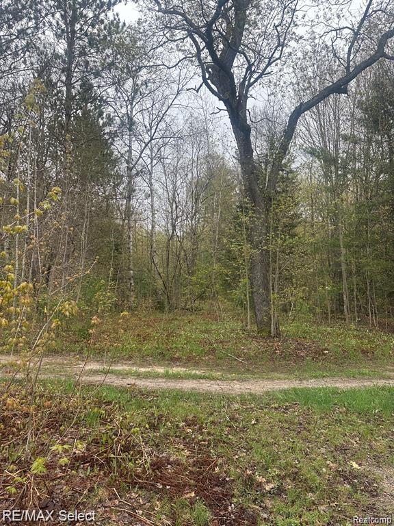4610 SANMOTT Trail NE, Kalkaska, MI 49646 — Photo 3