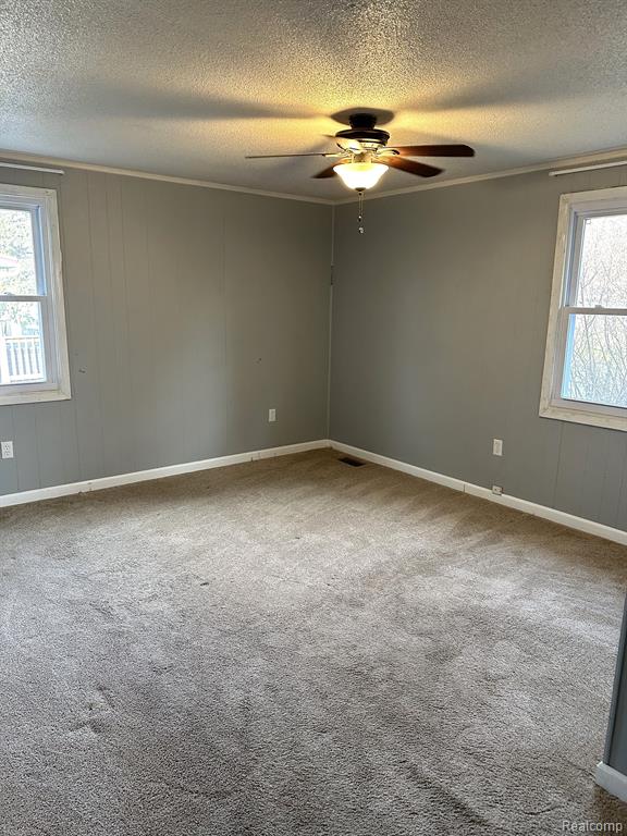 6231 2ND Street, Mayville Vlg, MI 48744 — Photo 25
