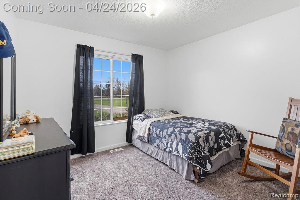 10511 N Lewis Road, Clio, MI 48420 — Photo 17