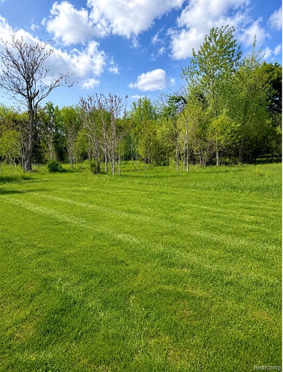 1423 N Belsay Road, Burton, MI 48509 — Photo 3
