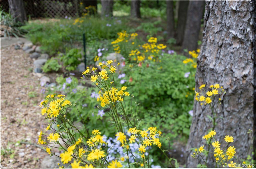 1827 HIGH HOLLOW Drive, Ann Arbor, MI 48103 — Photo 14