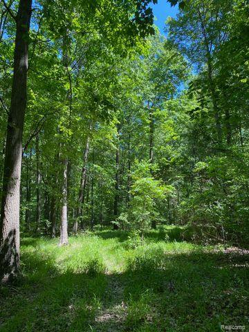 V/L UNDERWOOD Road, Caro, MI 48723 — Photo 7