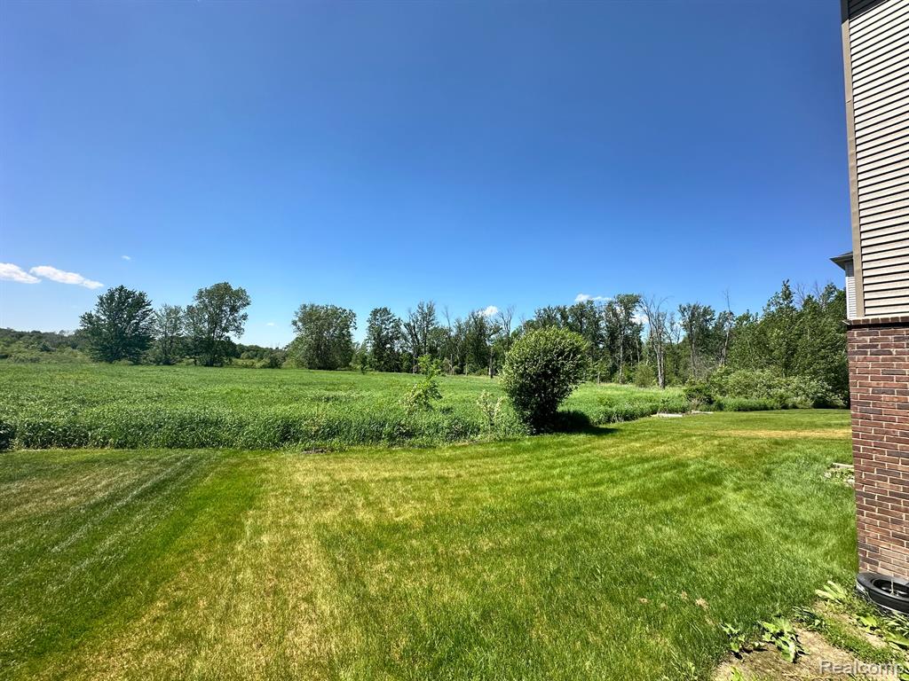 55810 WORLINGTON Lane, South Lyon, MI 48178 — Photo 3