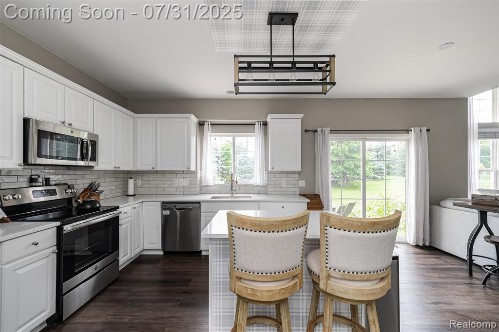 6068 Woodpecker Court, Ypsilanti, MI 48197 — Photo 21