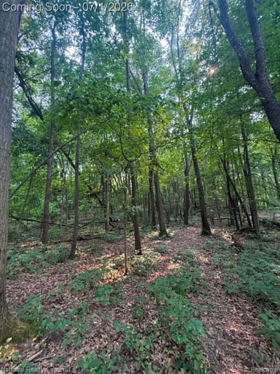 1330 Brauer Road, Oxford, MI 48371 — Photo 15