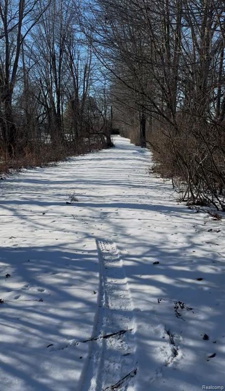 7021 Palms Road Road, MI — Photo 4