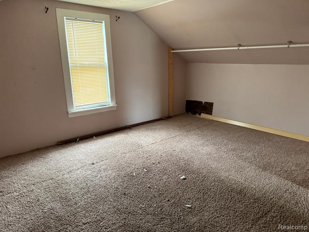 Additional living space featuring carpet flooring