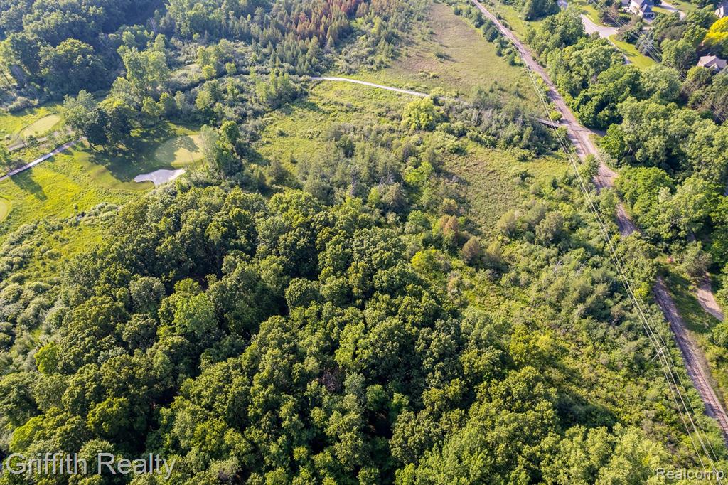 4433 Brighton Parcel D Road, Howell, MI 48843 — Photo 19