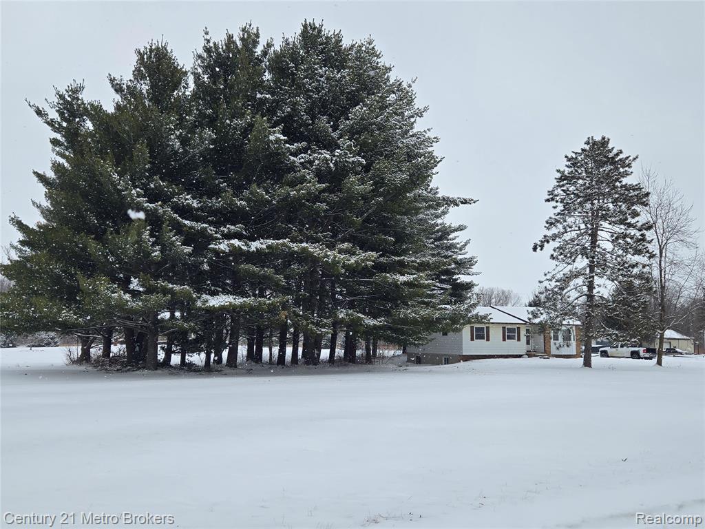 4493 WARD Road, North Branch, MI 48461 — Photo 2