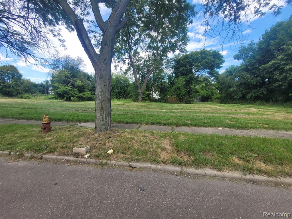3254 CANTON Street - Photo 2