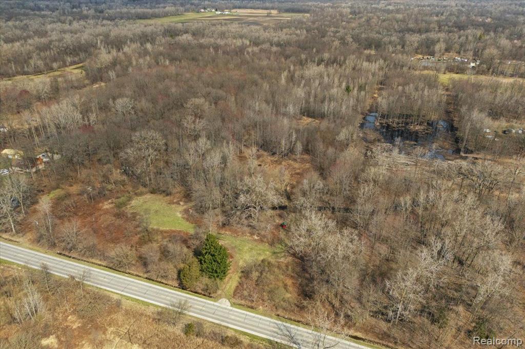 5278 OAKVILLE WALTZ Road, New Boston, MI 48164 — Photo 4