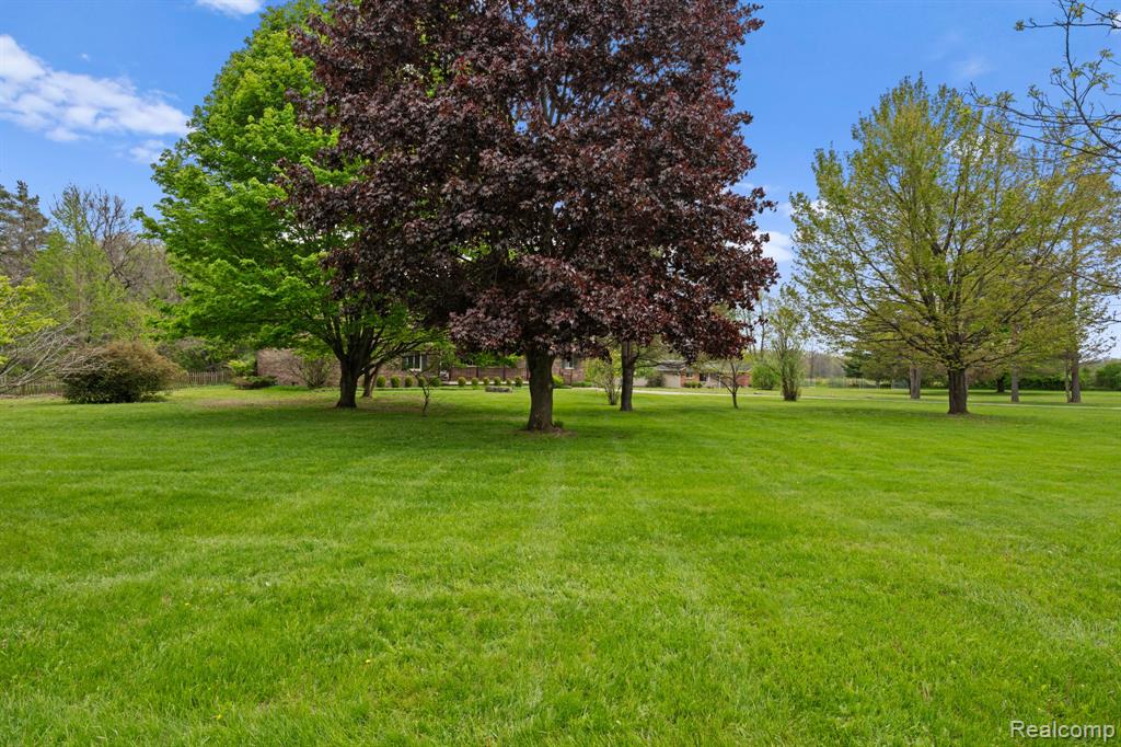 7540 Dexter Pinckney Road, Dexter, MI 48130 — Photo 5