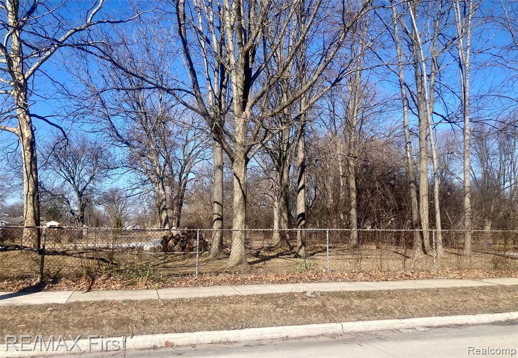 Vac Albert Avenue, Royal Oak, MI 48073 — Photo 2
