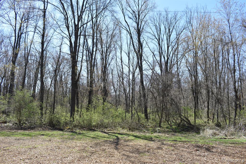 P-8 W ALLEN Road, Fowlerville, MI 48836 — Photo 2