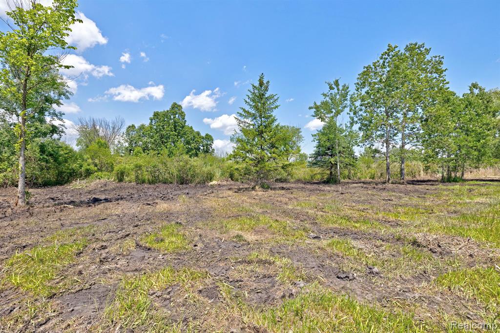 Vacant Land Brandt Road, Ortonville, MI 48462 — Photo 32