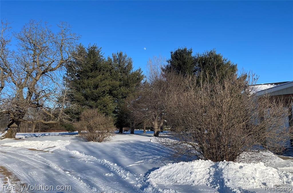 4850 Burnside Road, North Branch, MI 48461 — Photo 20