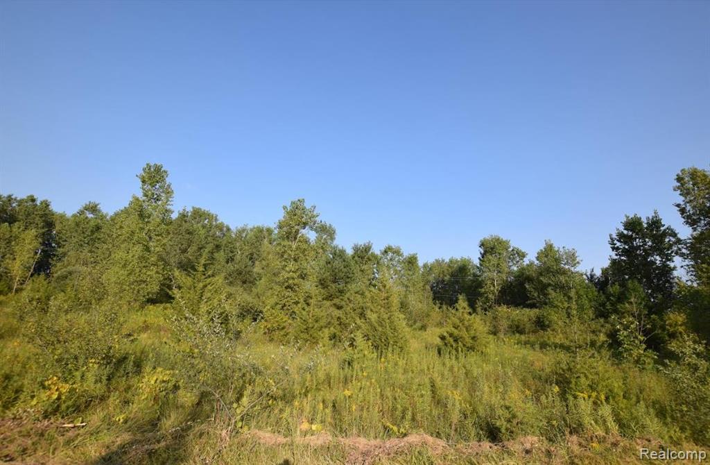 8506 DUFFIELD Road, Flushing, MI 48433 — front exterior