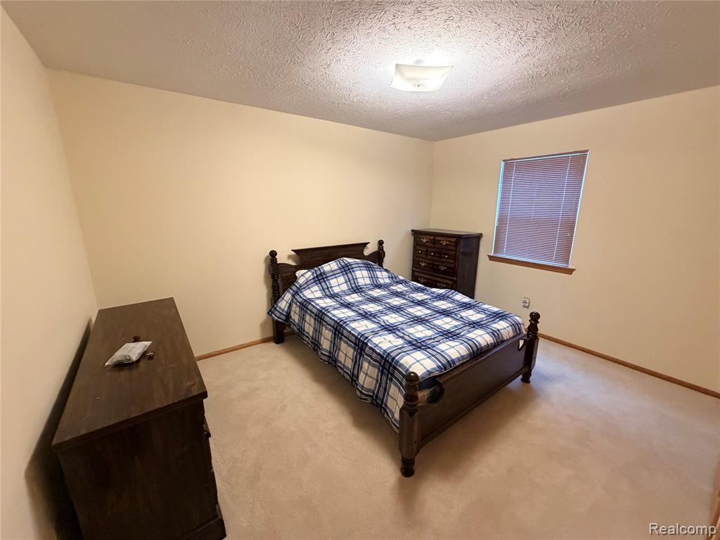 5376 Owosso Road, Fowlerville, MI 48836 — Photo 10