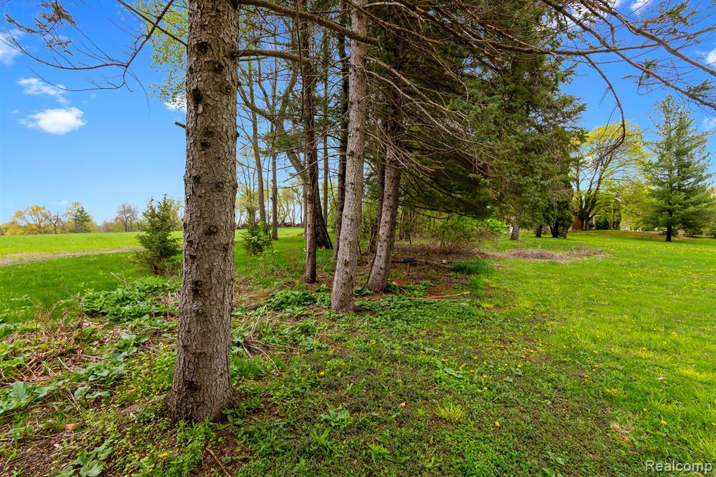 659 N VAN DYKE Road, Imlay City, MI 48444 — Photo 16