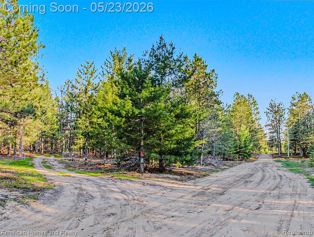 6691 Boone Lane, Vanderbilt, MI 49795 — Photo 28
