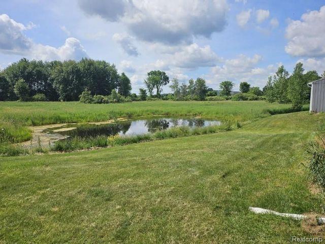 1650 MURRAY Road, Dansville, MI 48819 — Photo 5