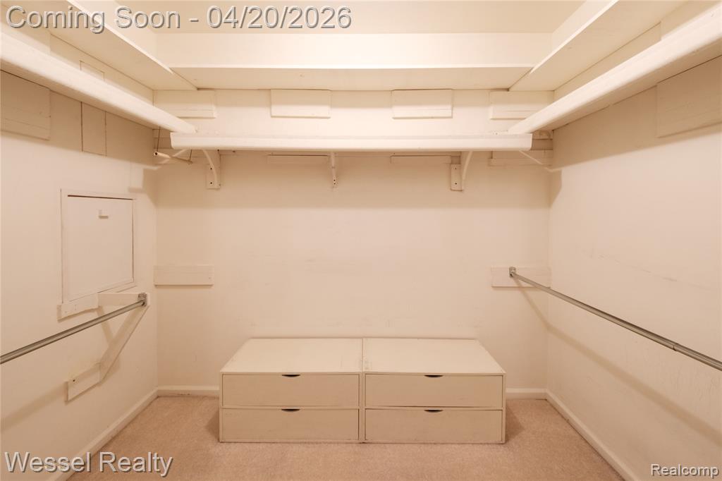53659 Wolf Drive, Shelby Twp, MI 48316 — Photo 23