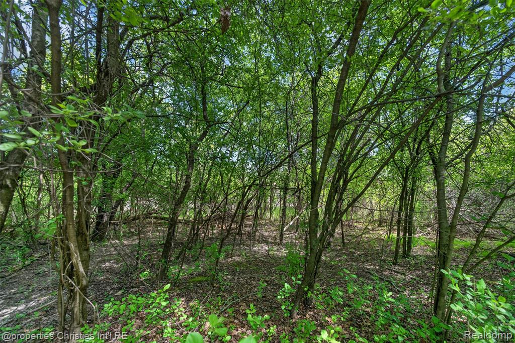 6390 Country Shire Lane, West Bloomfield, MI 48323 — Photo 46