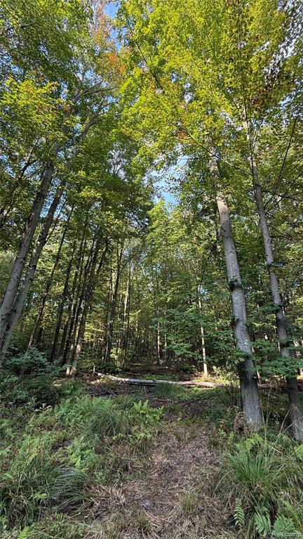 V/L McLain McLain Road, Clyde, MI 48049 — Photo 15
