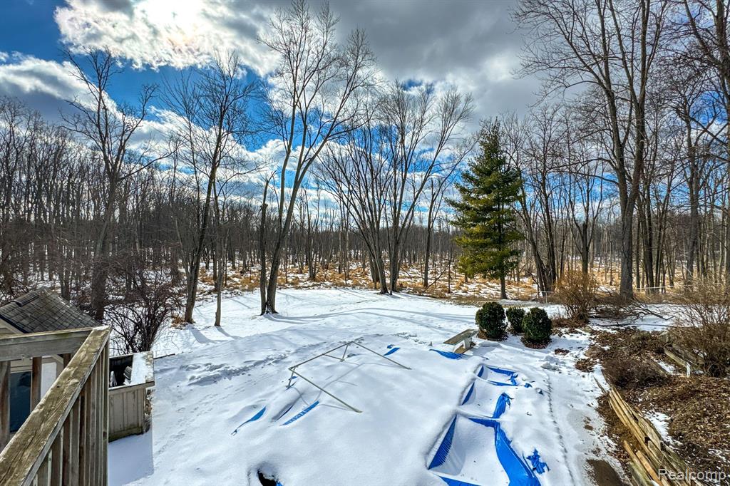 4717 MOHICAN Lane, Okemos, MI 48864 — Photo 41