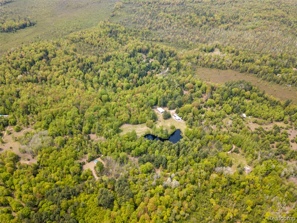 5960 N Trail SE, Kalkaska, MI 49646 — Photo 41