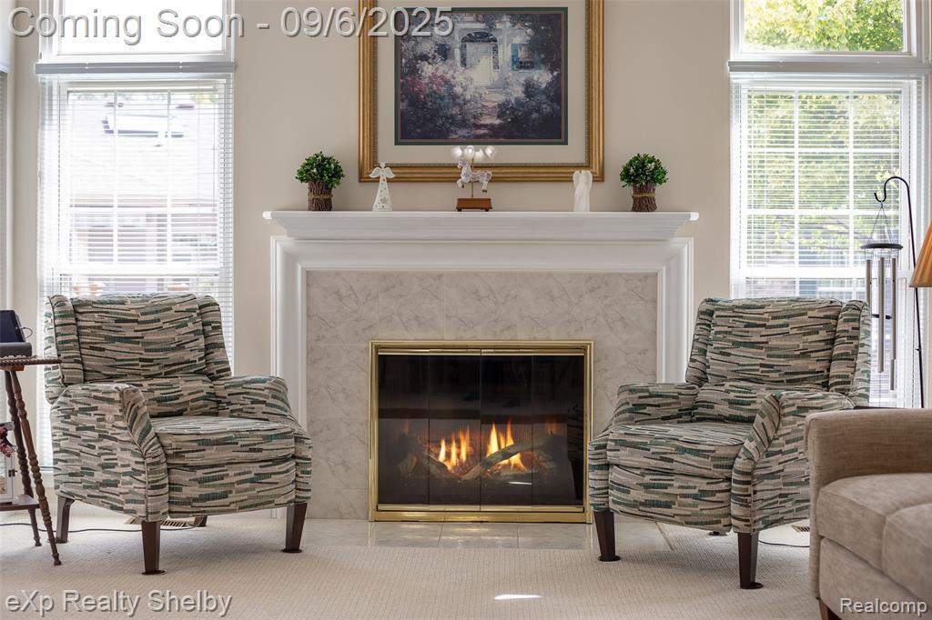 50165 Pepper Tree Drive, 52, Macomb, MI 48044 — Photo 16