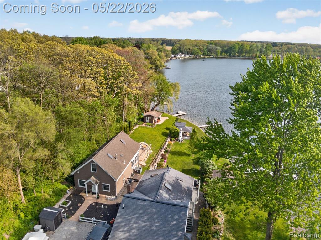 6548 Buckshore Drive, Whitmore Lake, MI 48189 — Photo 45