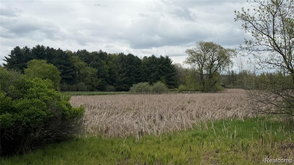 8079 Farley Road, Pinckney, MI 48169 — Photo 40