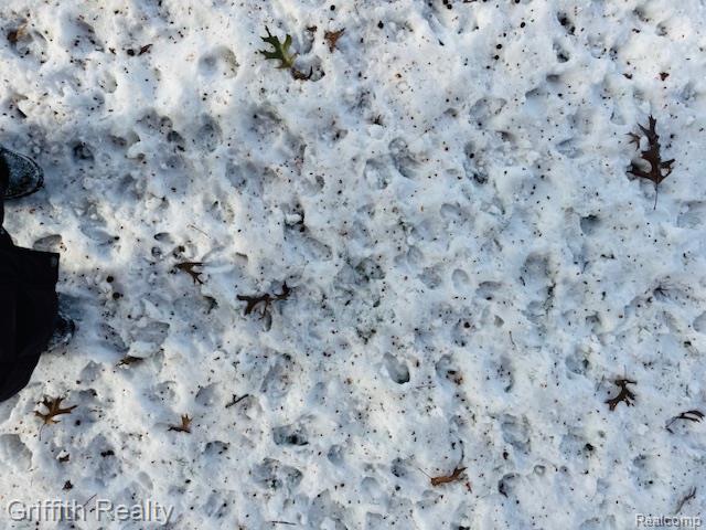 5748 W Coon Lake Road, Howell, MI 48843 — Photo 5