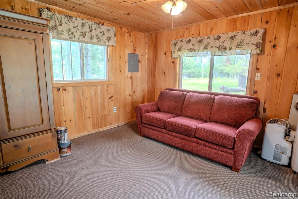 4350 N SHREW Road, Lincoln, MI 48742 — Photo 23