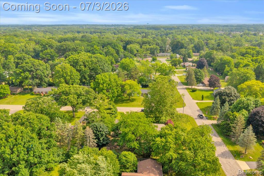 6514 Luanne Drive, Flushing, MI 48433 — Photo 28
