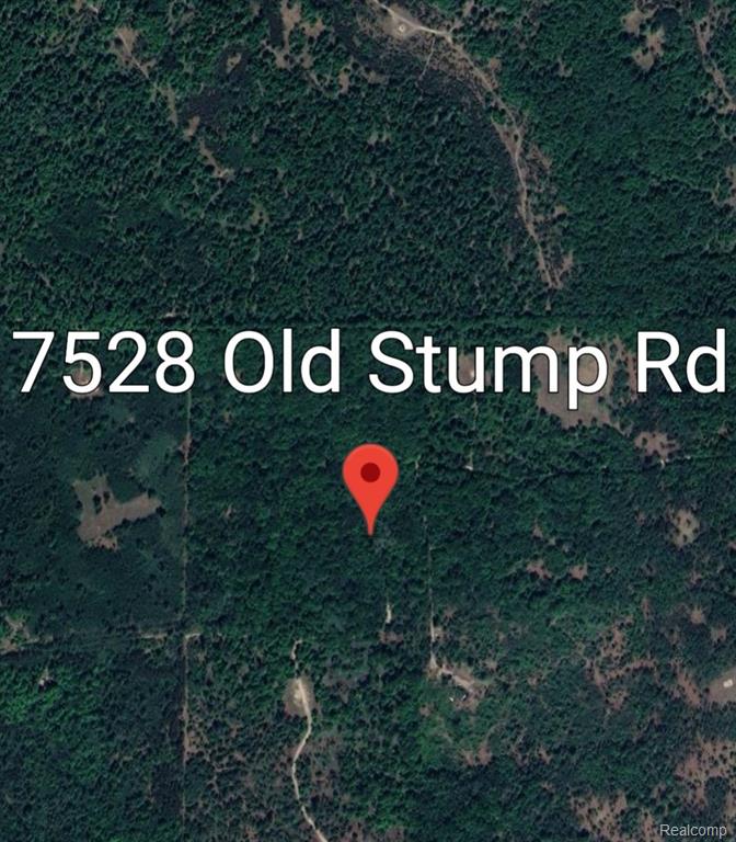 7528 OLD STUMP Road, Gaylord, MI 49735 — Photo 35