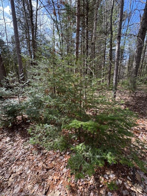 4233 Hardacre Trail, Houghton Lake, MI 48629 — Photo 13