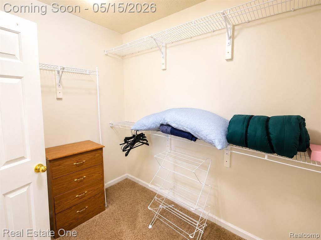 6692 Goldwin Drive, Brighton, MI 48116 — Photo 17