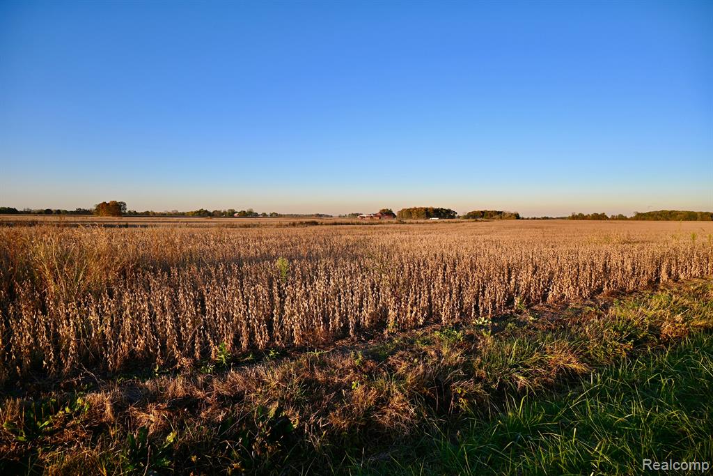 12101 TODD Road, Ida, MI 48140 — Photo 5