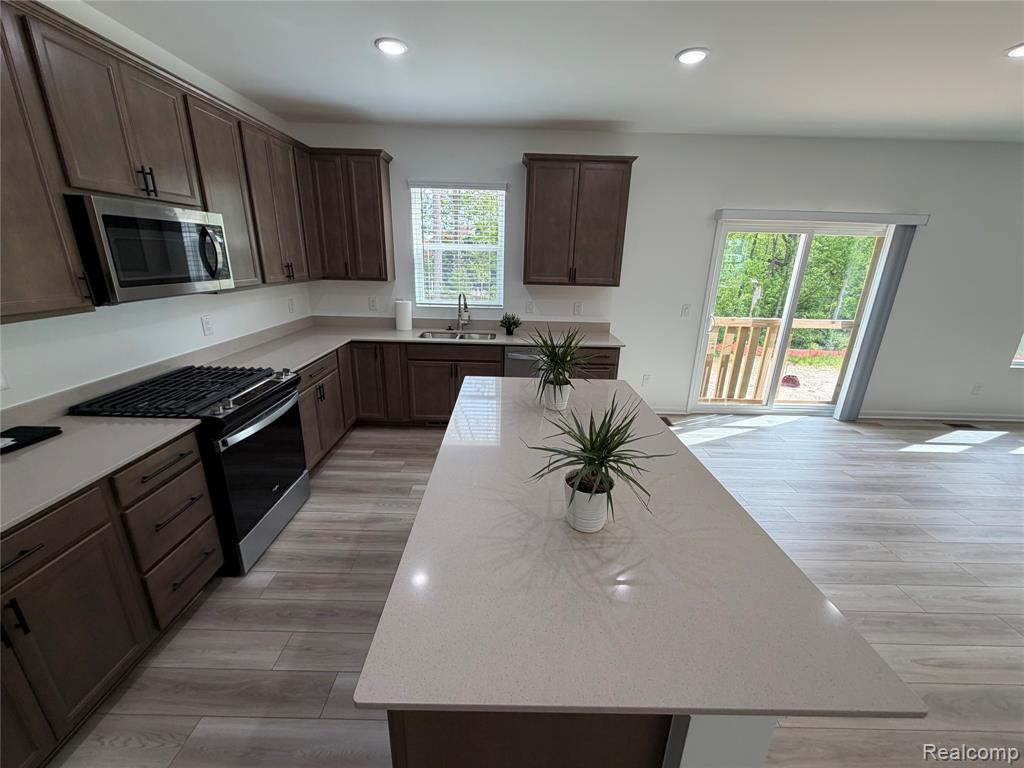 59579 Schuss Gully Drive, New Hudson, MI 48165 — Photo 4