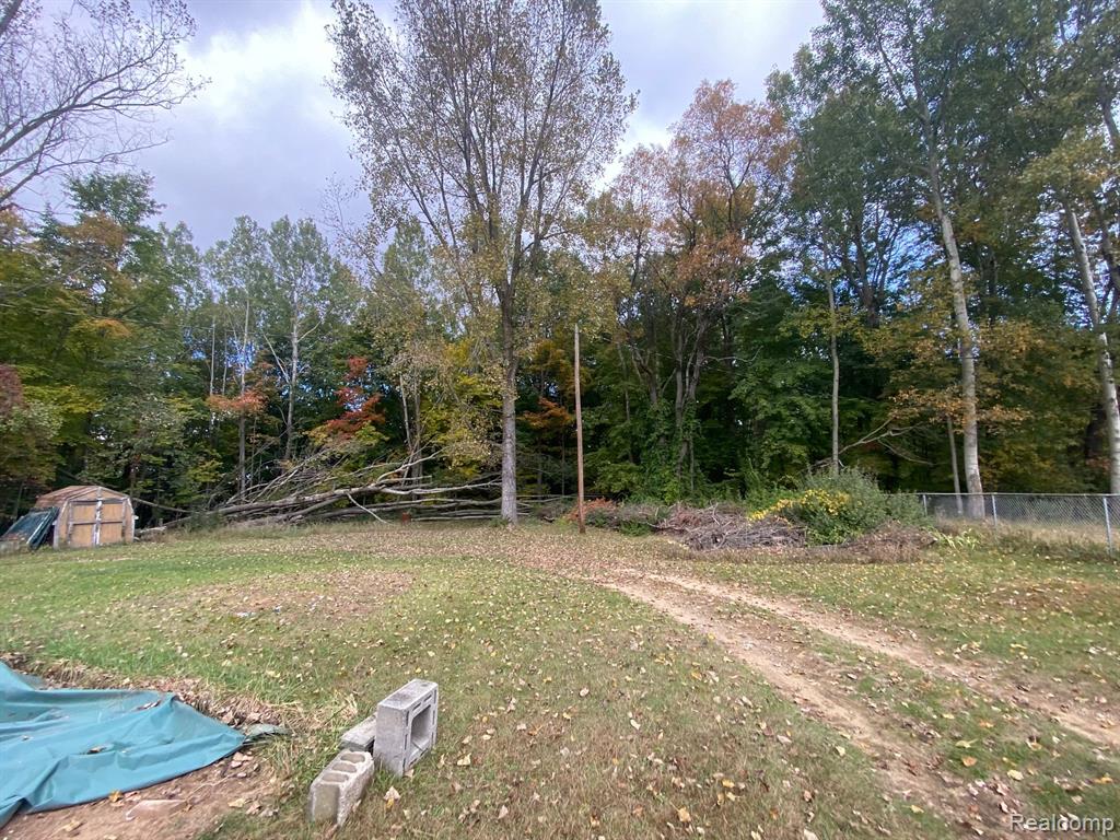3979 HAINES Road, Attica, MI 48412 — Photo 7