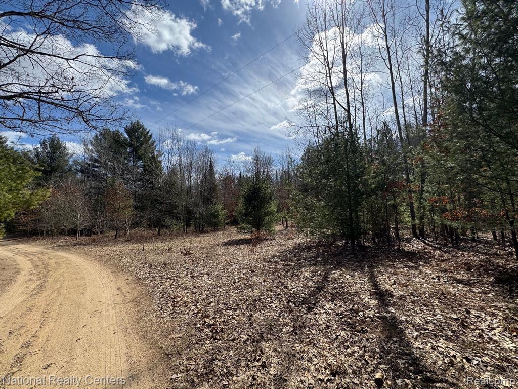 4233 Hardacre Trail, Houghton Lake, MI 48629 — Photo 39