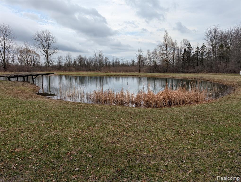 9345 Weber Road, Columbus, MI — Photo 24