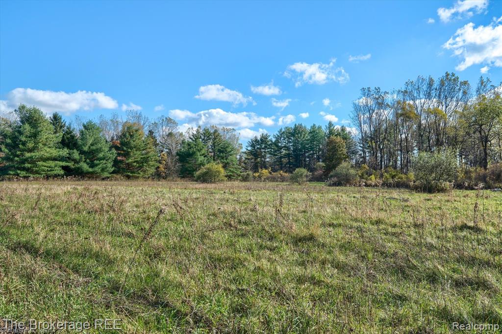 VL Janna Leigh Drive, Otter Lake, MI 48464 — Photo 8