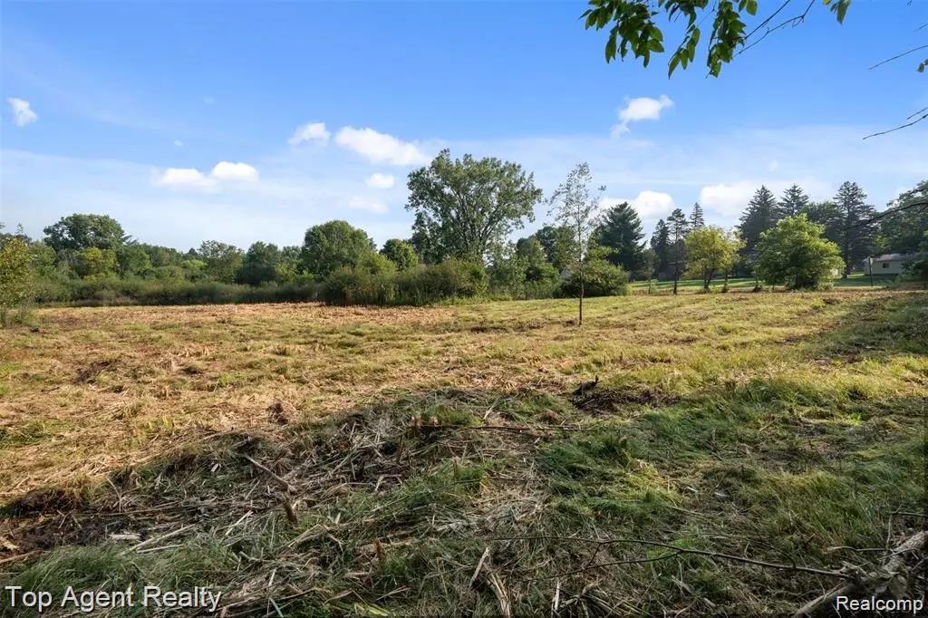 4499 West Street, Leonard, MI 48367 — Photo 17